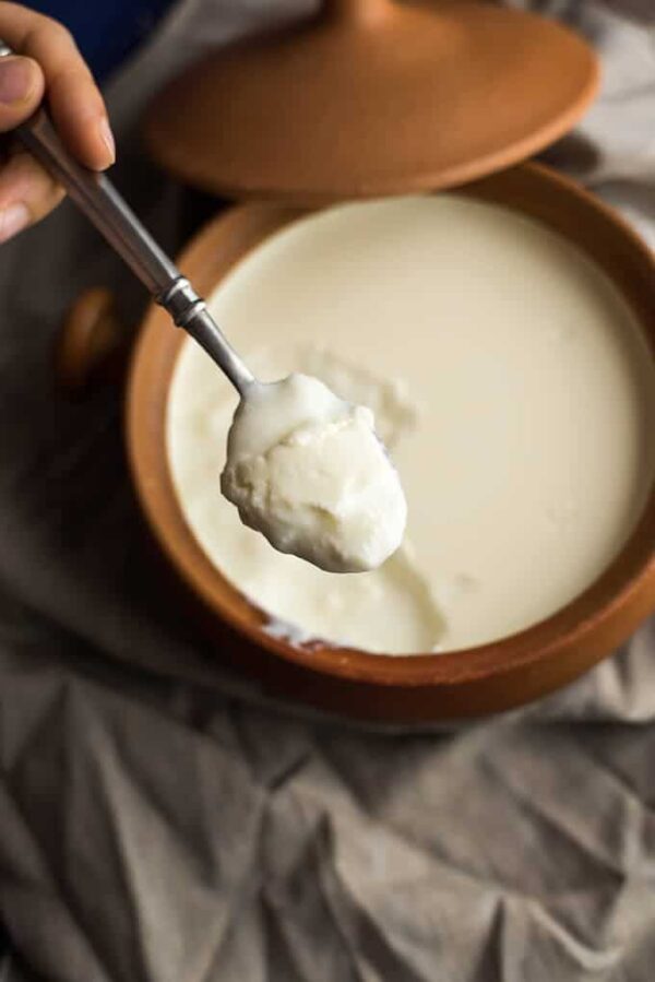 100% pure curd (dahi) - Image 3