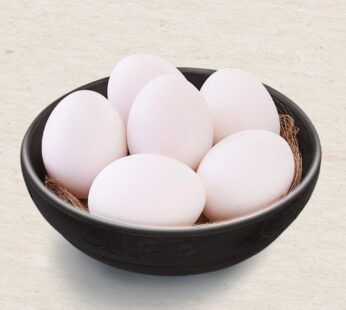 Fresh Classic White Eggs