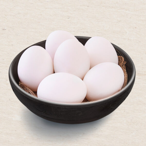 Fresh Classic White Eggs