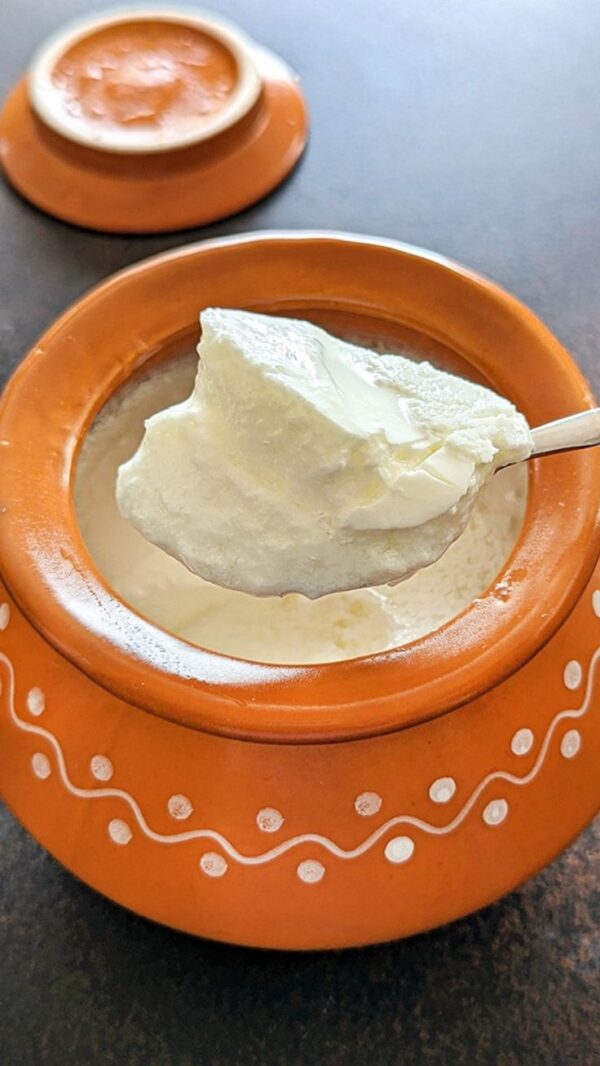 100% pure curd (dahi) - Image 2